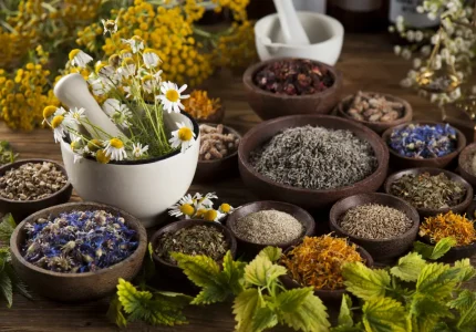 ayurveda Herbs with pot webp ayurveda Herbs with pot webp
